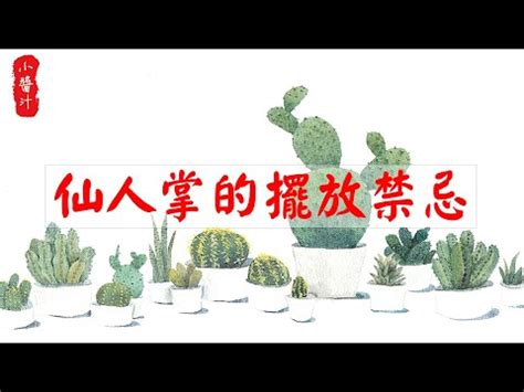 仙人掌風水|仙人掌風水指南：提升居家能量與幸福感 